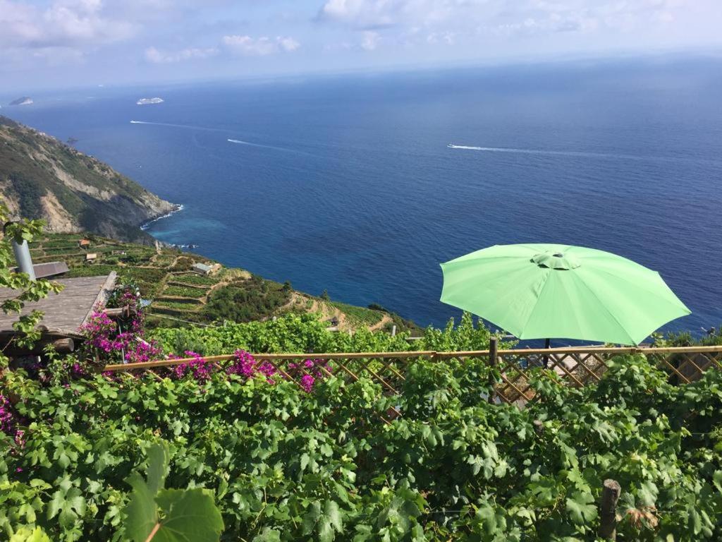 Refuge Uwabio Organic Vineyard Cinqueterre Villa Riomaggiore Dış mekan fotoğraf