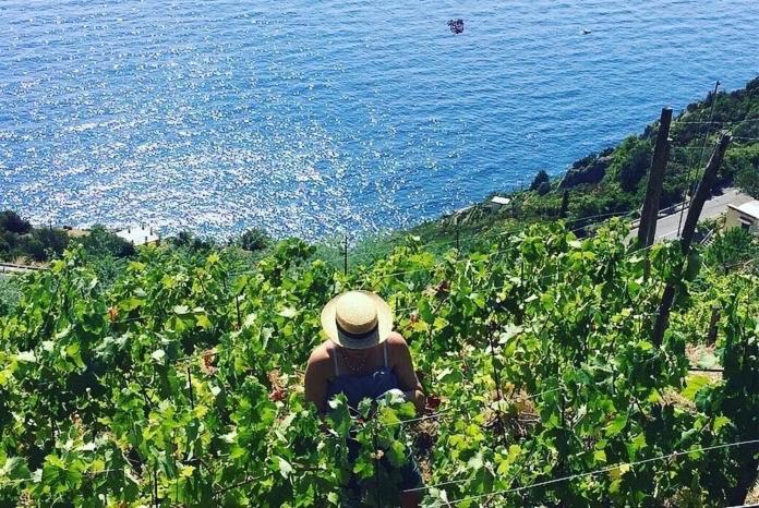 Refuge Uwabio Organic Vineyard Cinqueterre Villa Riomaggiore Dış mekan fotoğraf