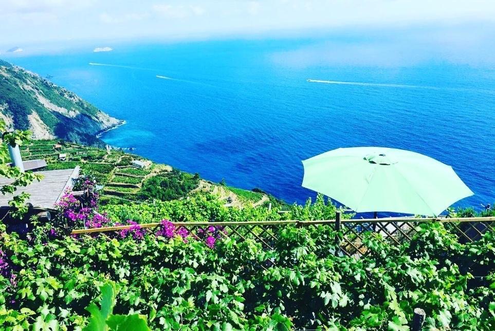 Refuge Uwabio Organic Vineyard Cinqueterre Villa Riomaggiore Dış mekan fotoğraf