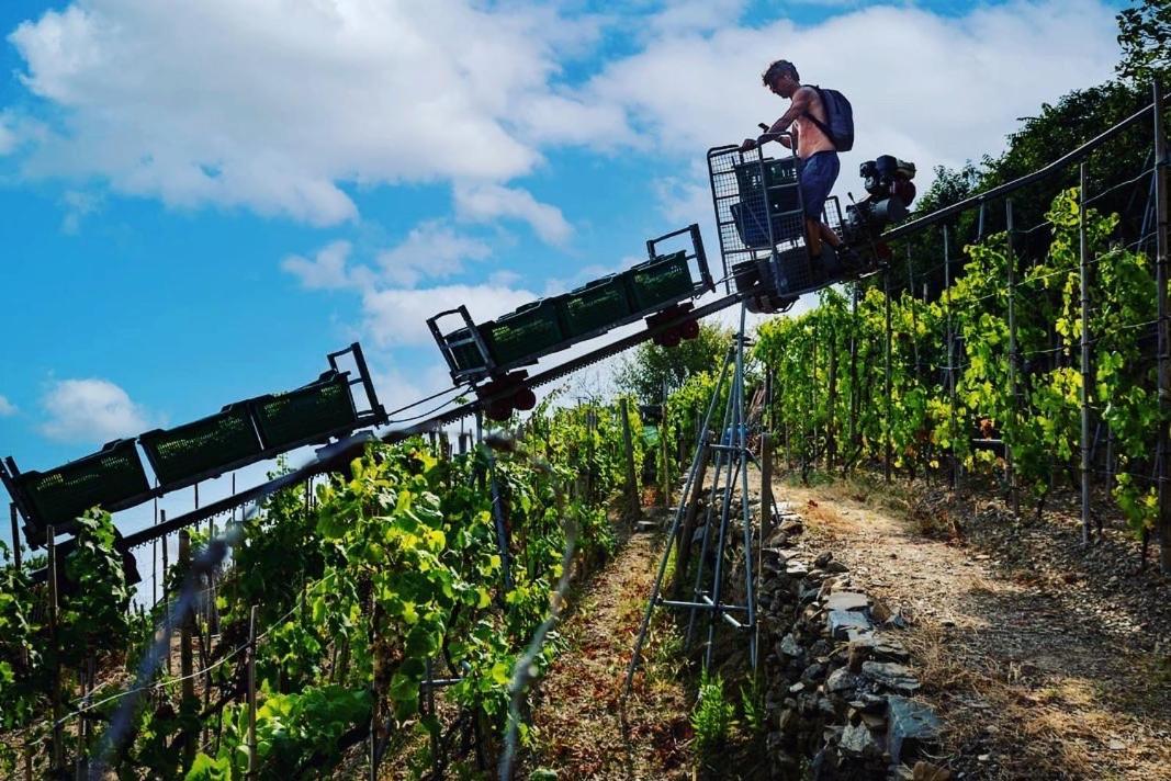 Refuge Uwabio Organic Vineyard Cinqueterre Villa Riomaggiore Dış mekan fotoğraf